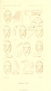 n618_w1150