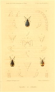 n718_w1150