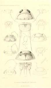 n952_w1150