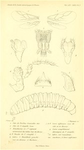 n874_w1150
