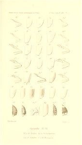 n616_w1150