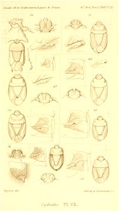 n854_w1150