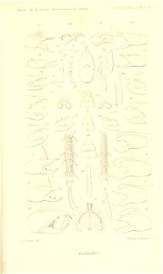 n716_w1150