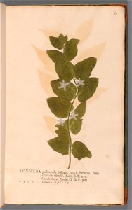 n128_w1150