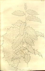 n399_w1150