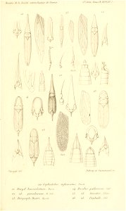 n724_w1150