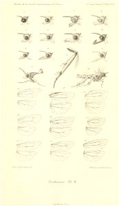 n1018_w1150