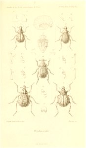 n956_w1150