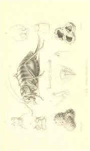 n858_w1150