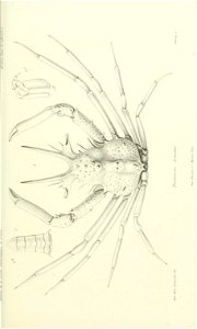 n808_w1150