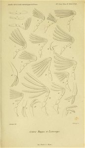 n960_w1150