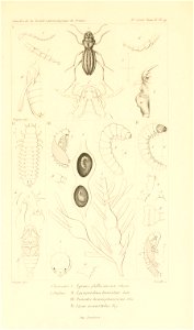 n802_w1150