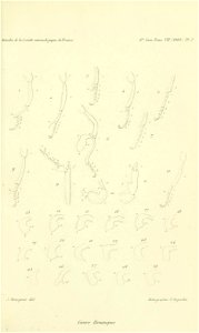 n742_w1150