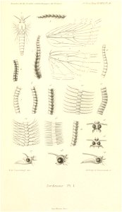 n1016_w1150