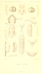 n954_w1150