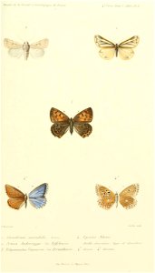 n806_w1150