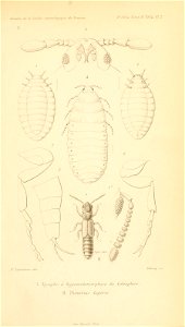 n952_w1150