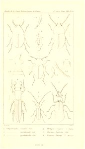 n598_w1150