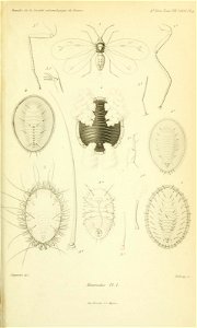 n578_w1150
