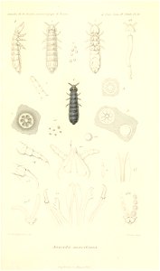 n898_w1150