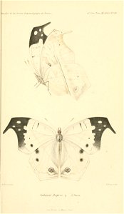 n848_w1150