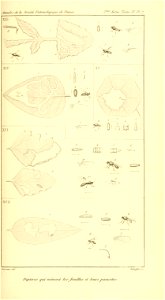 n714_w1150
