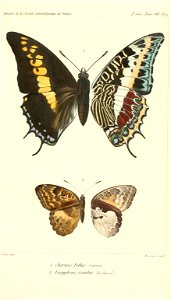 n594_w1150