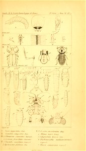n502_w1150