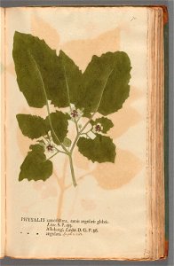 n154_w1150