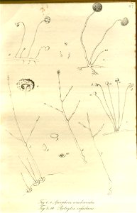 n198_w1150