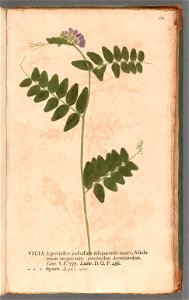n206_w1150