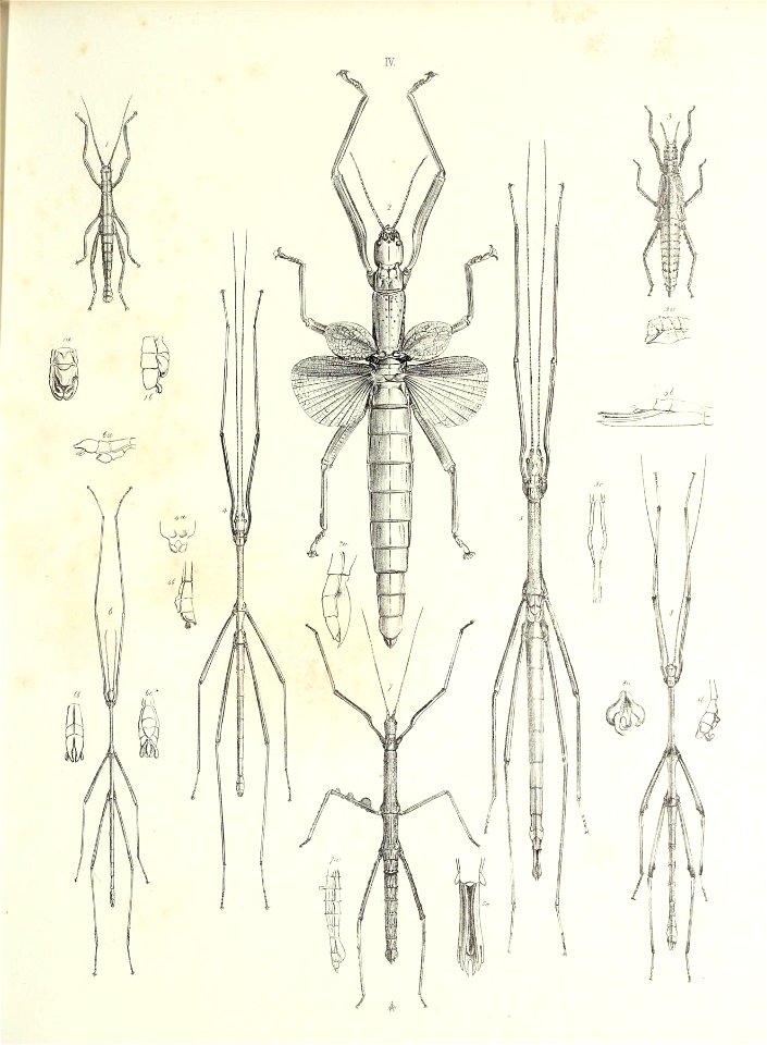 n206_w1150