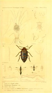 n458_w1150