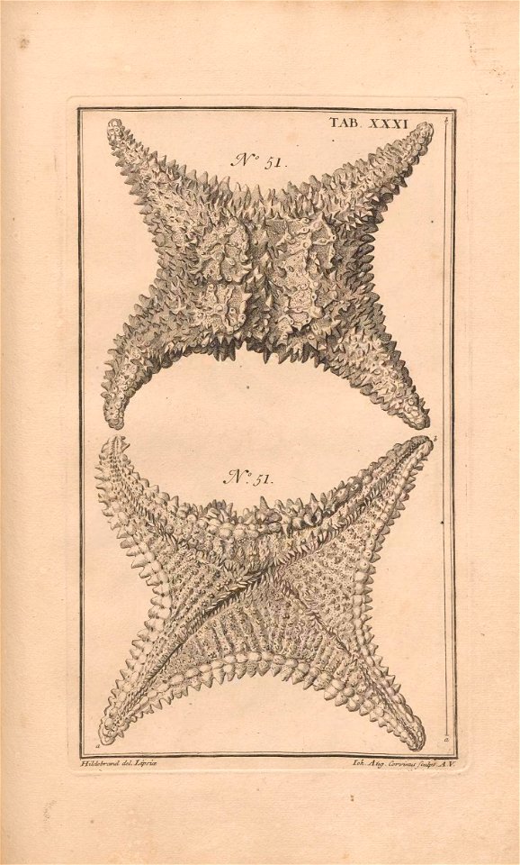 n202_w1150