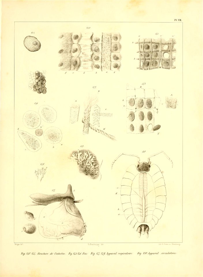 n152_w1150