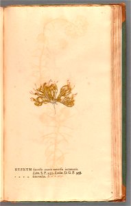 n314_w1150