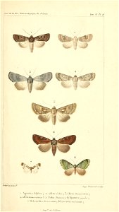 n682_w1150