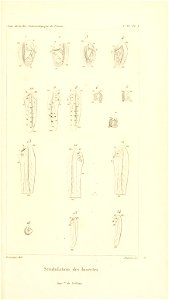 n652_w1150