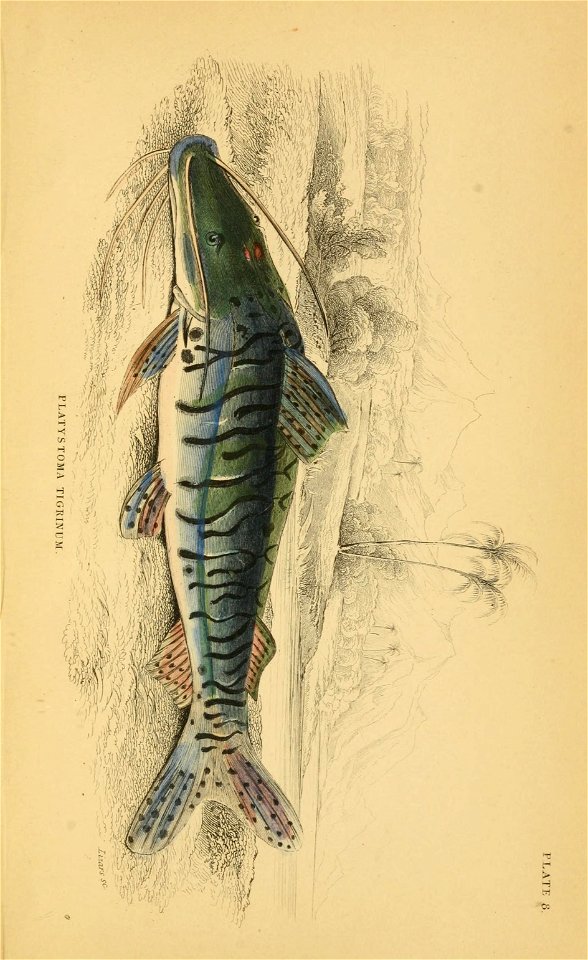 n292_w1150