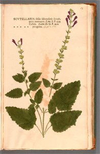 n172_w1150