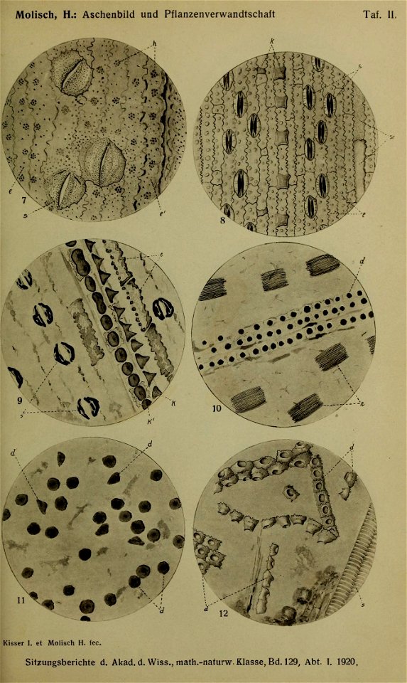 n314_w1150
