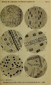 n314_w1150
