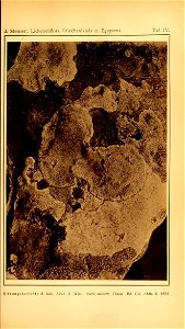 n214_w1150