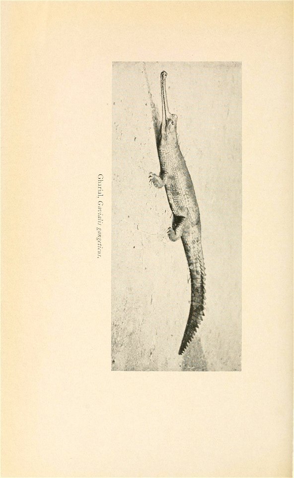 n83_w1150