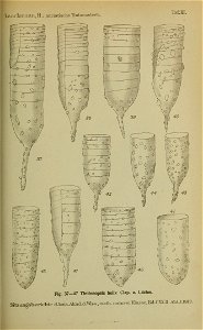 n198_w1150