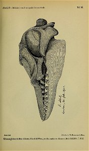 n102_w1150