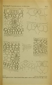 n1106_w1150