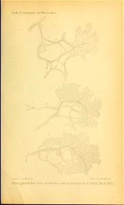 n978_w1150