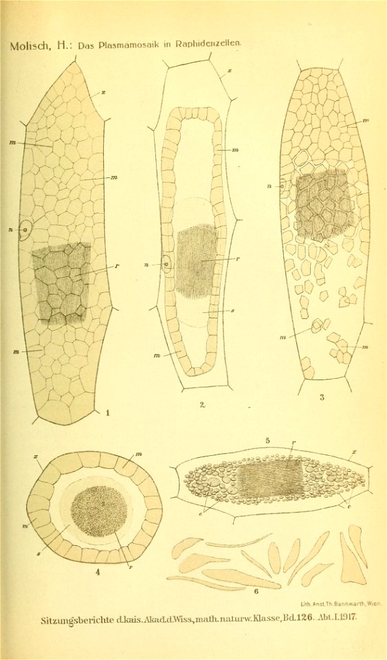 n272_w1150