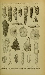 n1058_w1150
